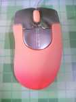 mousemomo480x640.jpg